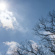 Illustration for article titled 21 Stupendous Photos of Spring